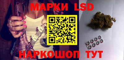 крисы Бийск