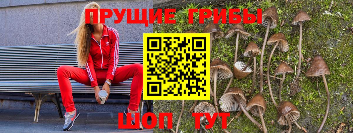 Псилоцибиновые грибы мицелий Дзержинск