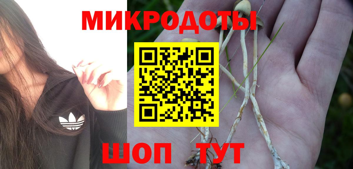 Псилоцибиновые грибы Cubensis  Вход с VPN  Дзержинск 